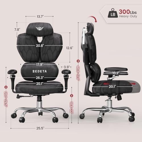SEDETA S100 Ergonomic Office Chair with Lumbar Support, 6D Armrests, Black