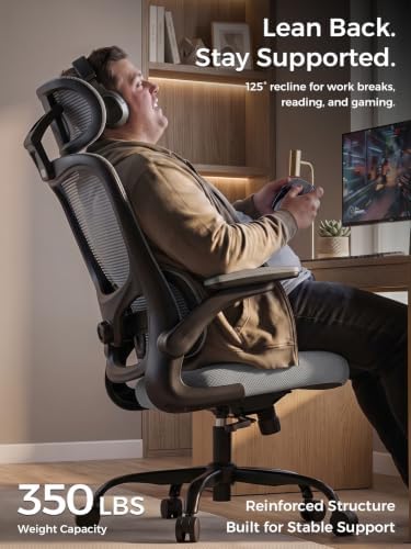 Ergonomic Office Desk Chair, Adjustable Dual Lumbar Support & Thick Seat