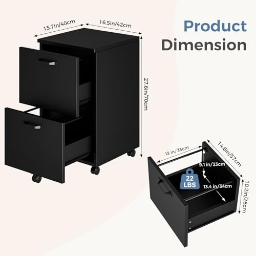 DUMOS 2 Drawer Storage Cabinet, Rolling Under Desk Storage, Black
