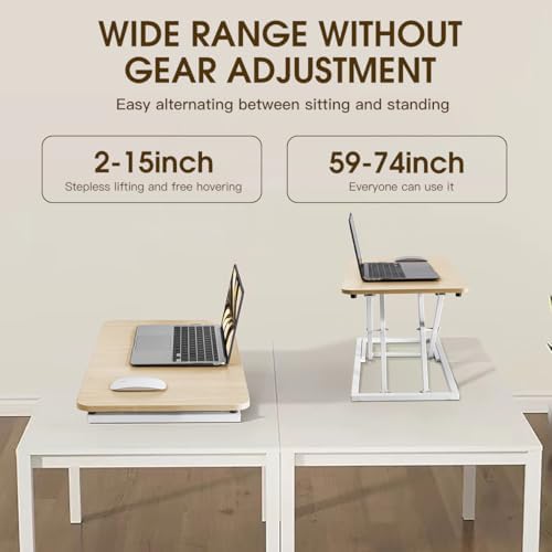 Omhuzsyo 24 in Height Adjustable Standing Desk Converter Stand Up Riser