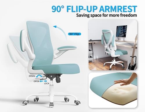 Ergalithic Office Chair: Mesh Ergonomic Desk Chair with 3D Lumbar & Swivel