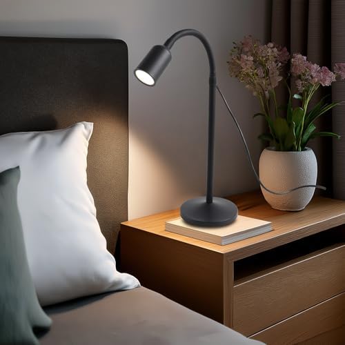 DAMI Small Desk Lamp with Flexible Gooseneck, USB Reading Light Nightstand with 3 Color Temperatures, Dimmable Eye-Caring Bedside Table Lamp for Home Office Bedroom Dorm RV - Black