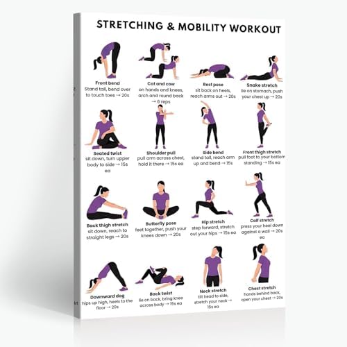 Stretching & Mobility Workout Poster, 16 Illustrated Full-Body Flexibility Chart with Timed Hold Guides, Bodyweight Daily Stretch Reference for Desk Soreness & Post-Workout Joint Recovery(8x12inchs，Wrapped Framed)