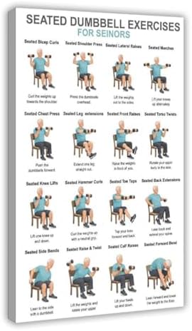 Chair Dumbbell Exercises for Seniors Seated Low Impact Strength Workout Chart Home Fitness Canvas Poster Bedroom Decor Room Decor Frame 20x30inch