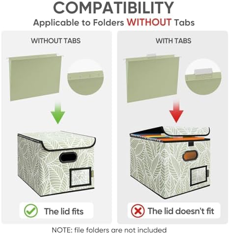 BALEINE File Organizer Box with Lid, Collapsible Hanging File Storage Box