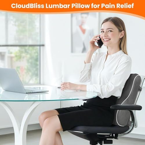 CloudBliss Lumbar Support Pillow, Memory Foam for Office, Standard, Gray