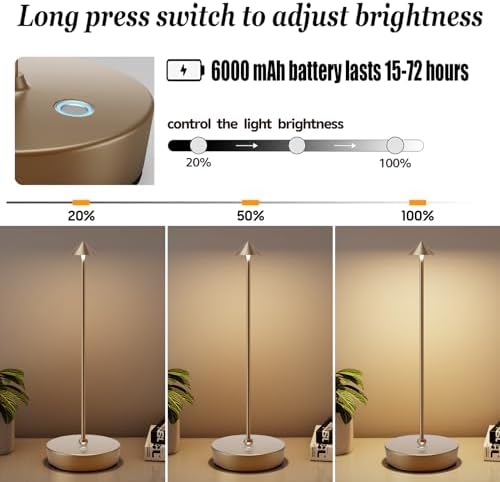 Rechargeable Cordless Table Lamp, Portable Powered LED Battery 6000mAh Metal USB Desk Lamp, 3 Levels Brightness Light for Restaurants Outdoor (Titanium)