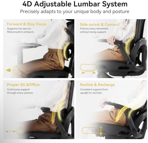 SIHOO B300 Pro Ergonomic Office Chair Without Footrest, 4D Lumbar Support