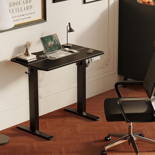 YDN Electric Standing Desk, 32x19 Inch, Black