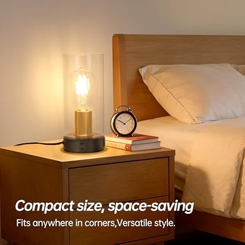 Touch Control Bedside Lamp with Charging Station，Black Gold Small Lamp