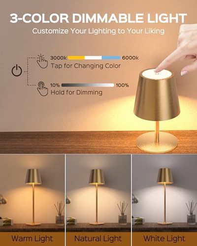 JACKYLED Cordless Table Lamps Rechargeable, 3 Height, 5000 Capacity