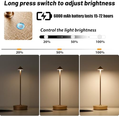 2Pack Rechargeable Cordless Table Lamp, Portable Powered LED Battery 6000mAh Metal USB Desk Lamp, 3 Levels Brightness Light for Restaurants Outdoor (2pack LCE Flower Gold)