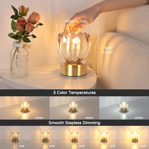 Shenmoyl Cordless Small Table Lamp with 5200mAh Battery & Touch Control, Battery Operated Tulip Table Lamp with 3 Colors, Rechargeable Mini Table Lamps for Bedsides, Bedroom, Nightstand (Amber)