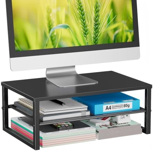 Ekisemio 2-Tier Computer Monitor Stand Riser, Desk Organizer for Monitor, Black