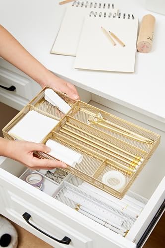 Annova Desk Drawer Organizer Tray for Office Organization - Metal Mesh - Storage Tray with Dividers for Pens, Desktop Accessories, Bathroom, Kitchen, Makeup and Office Supplies (Small, Gold)