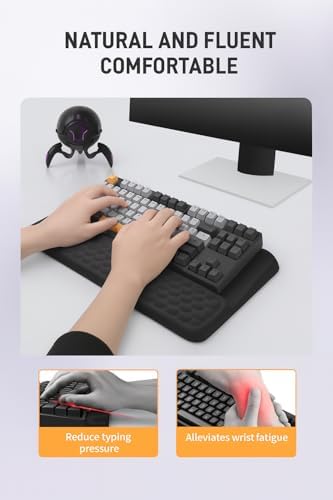 RAPIQUE Ergonomic Keyboard Wrist Rest Pad, Computer Keyboard Stand for Full Size & Wireless Keyboards, Typing Angle Wrist Relief Tray, Portable Holder for Office and Home Desk Use - Black