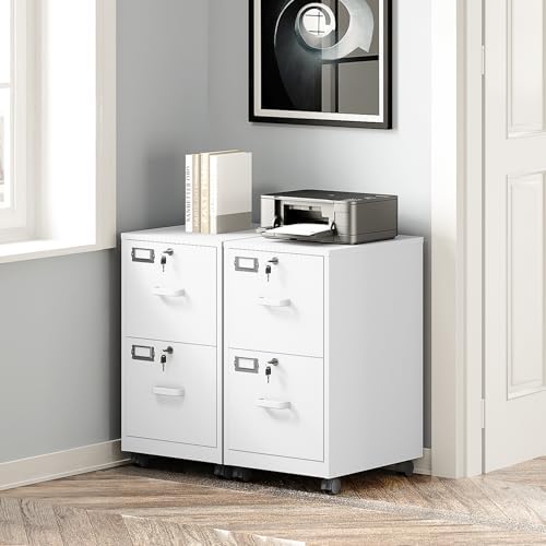 BYNSOE 2 Drawers File Cabinet with Lock Metal Vertical File Cabient with Wheels Mobile File Cabinet for Office Home Legal/Letter/a4 Size Require Assembly