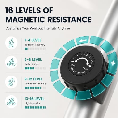 THERUN Elliptical Exercise Machine, Magnetic Elliptical Machine for Home