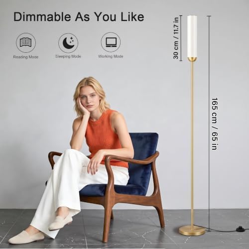 Ambimall LED Floor Lamps with Remote Control Set of 2, Foot Switch, Gold