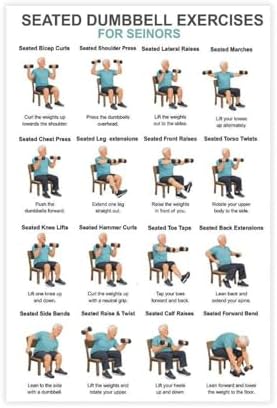 Chair Dumbbell Exercises for Seniors Seated Low Impact Strength Workout Chart Home Fitness Canvas Poster Wall Art for Living Room Bedroom Decor Unframe 16x24inch