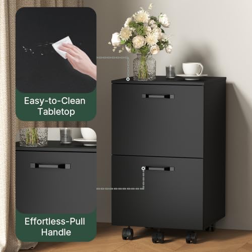 2 Drawer Rolling File Cabinet with Wood Printer Stand