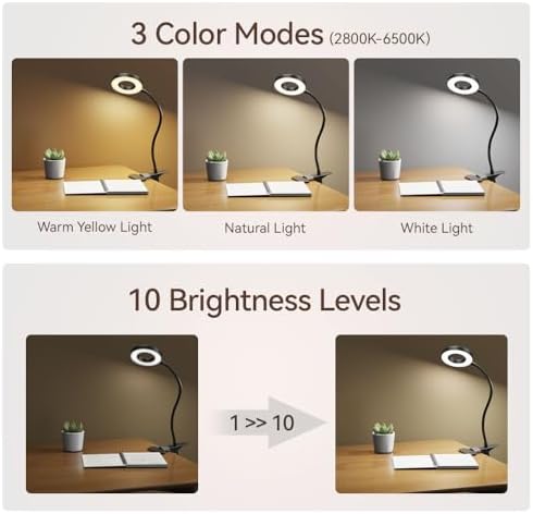 LED Desk Lamp Table Lamp with USB Charging Port (2 Pack Clip Lamp)