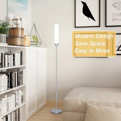 Nukanu Floor Lamp with Remote Control,Nickel