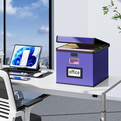 File Organizer Box with Lids, Collapsible File Folder Organizer