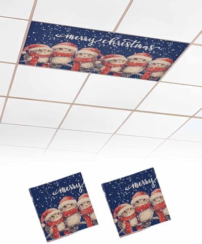 Christmas Blue Magnetic Fluorescent Light Covers for Ceiling Lights 2 x 4 Feet,Vintage Owl Snowflakes Watercolor Grey Office Classroom Kitchen Drop Ceiling Light Covers Filters Shade Panel 2 Packs