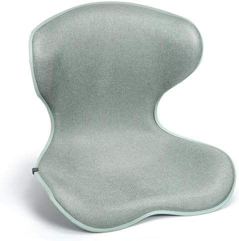 Season Guard Ergonomic Chair Seat Cushion Back Support, Posture Correction Lumbar Support Pillow, Lower Back Pain Relief for Car Driving, Office Chair, Green