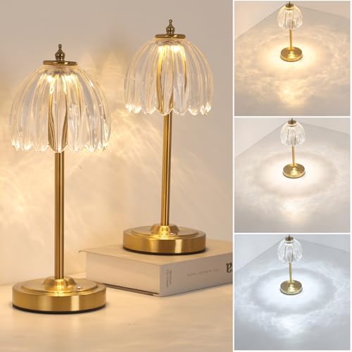 Shenmoyl Set of 2 Tulip Table Lamp with 5000mAh Battery & Touch Control, Cordless Table Lamp with 3 Colors, Dimmable Rechargeable Table Lamps for Bedroom, Living Room, Entryways (Transparent Tulip)