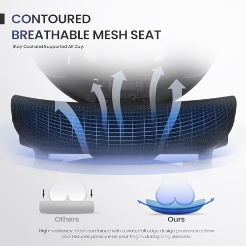 MALOL Ergonomic Mesh Office Chair with Footrest, Executive High Back Computer Desk Chair with 3D Adjustable Headrest & 5-Level Lumbar Support, Reclining Tilt Lock, 3D Arms, 300LBS Capacity, Black