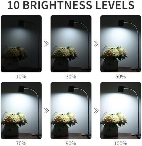 Dott Arts Desk Lamp,USB Clip On Light with 3 Color Modes,LED Reading Lamp