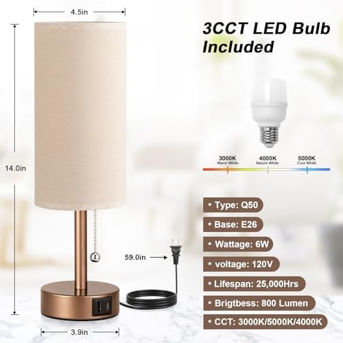 Brown Bedside Lamp for Bedroom Nightstand - Small Table Lamp with USB Ports
