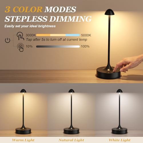 Cordless Rechargeable Table Lamp, Battery Operated Desk Lamp, Black, 2 Pack