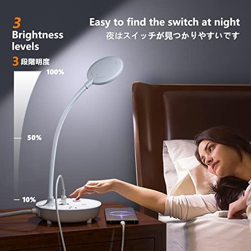 LED Desk Lamp with 2 USB Charging Ports and 2 AC Power Outlets - Adjustable Gooseneck Desk Light with 3 Level Brightness, Eye-Caring Small Table Lamp for Home Office, College Dorm Room Essentials