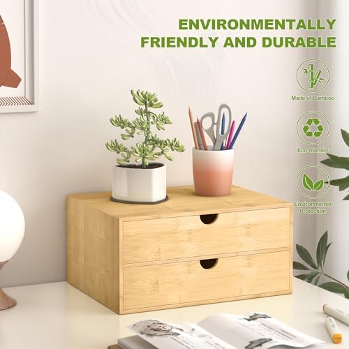 Bamboo Desk Drawer Organizer, Large Desktop Organizer with Drawers Tabletop Storage Organization Box for Office Home Toiletries Supplies Vanity, No Assembly Required (2 Drawer)