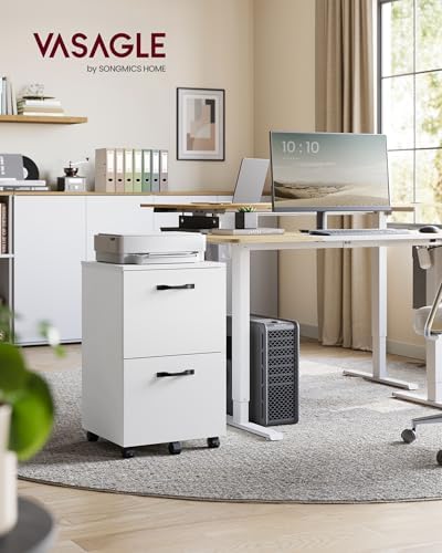 VASAGLE 2-Drawer File Cabinet, Small Rolling Filing Cabinet