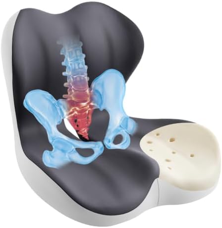 Cool & Dry Seat Cushion & Back Support for Coccyx & Lumbar Relief