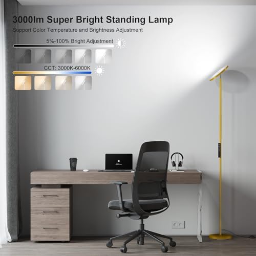SUNMORY Floor Lamps for Living Room，LED Standing Lamp with Remote Control