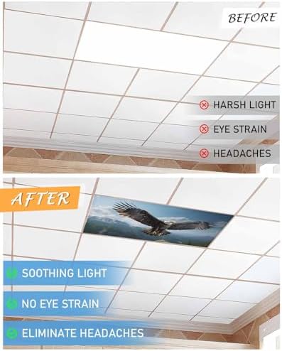Eagle Magnetic Fluorescent Light Covers for Ceiling Lights 2 x 4 Feet,Forest Mountains Range Sky Animal Natural Landscape Office Classroom Kitchen Drop Ceiling Light Covers Filters Shade Panel 1 Pack