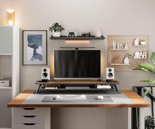 Fenge Dual Monitor Stand Riser, Wooden Desk Shelf with 2-Tier Storage