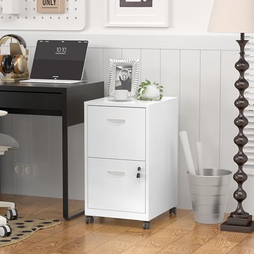 SteeLoong 2 Drawer File Cabinet,Metal Mobile File Cabinet with Lock White