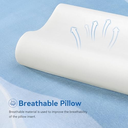 AM AEROMAX Travel Contour Memory Foam Pillow for Neck Pain Relief, Blue