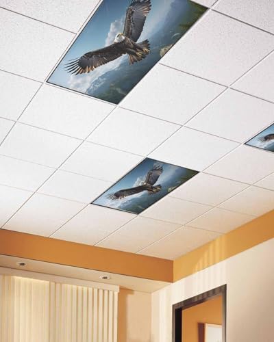 Eagle Magnetic Fluorescent Light Covers for Ceiling Lights 2 x 4 Feet,Forest Mountains Range Sky Animal Natural Landscape Office Classroom Kitchen Drop Ceiling Light Covers Filters Shade Panel 1 Pack