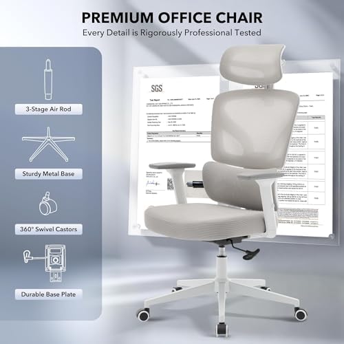 Ergonomic Office Chair with Adjustable Lumbar Support,Grey