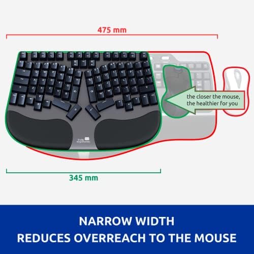 Cleave Split Ergonomic Mechanical Keyboard – All-Day Comfort, Boosts Productivity, Natural Typing Posture, Tactile Optical Switches, Cushioned Palm Rest, Backlit Keys, Windows/Mac/Linux