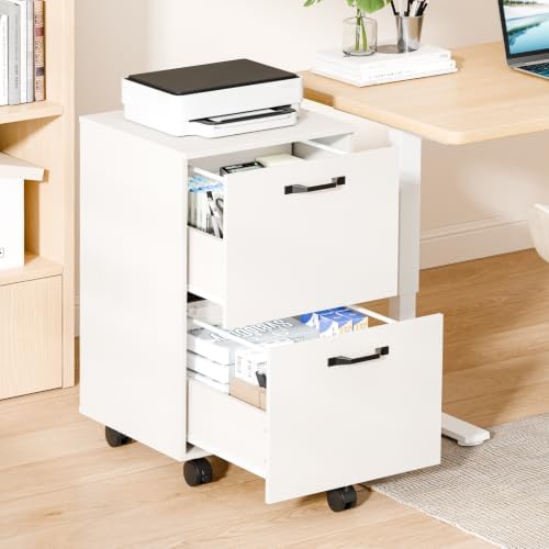 DUMOS 2 Drawer Filing Cabinet, Rolling Under Desk Storage, White