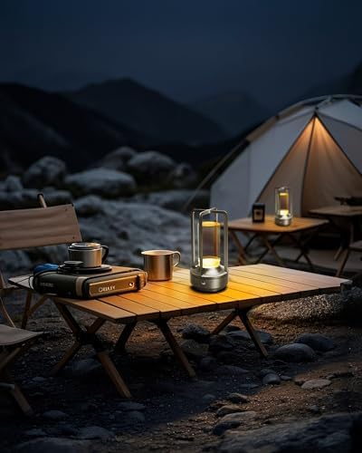Set of 2 Cordless Table Lamps Rechargeable Desk Lamps Silver