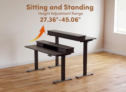 BANTI 48x24 Inch Electric Height Adjustable Standing Desk, Home Office Computer Desk with Double Storage Drawers, 4 Adjustable Feet & 2 Hooks, Black